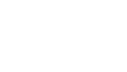 Planet Wok
